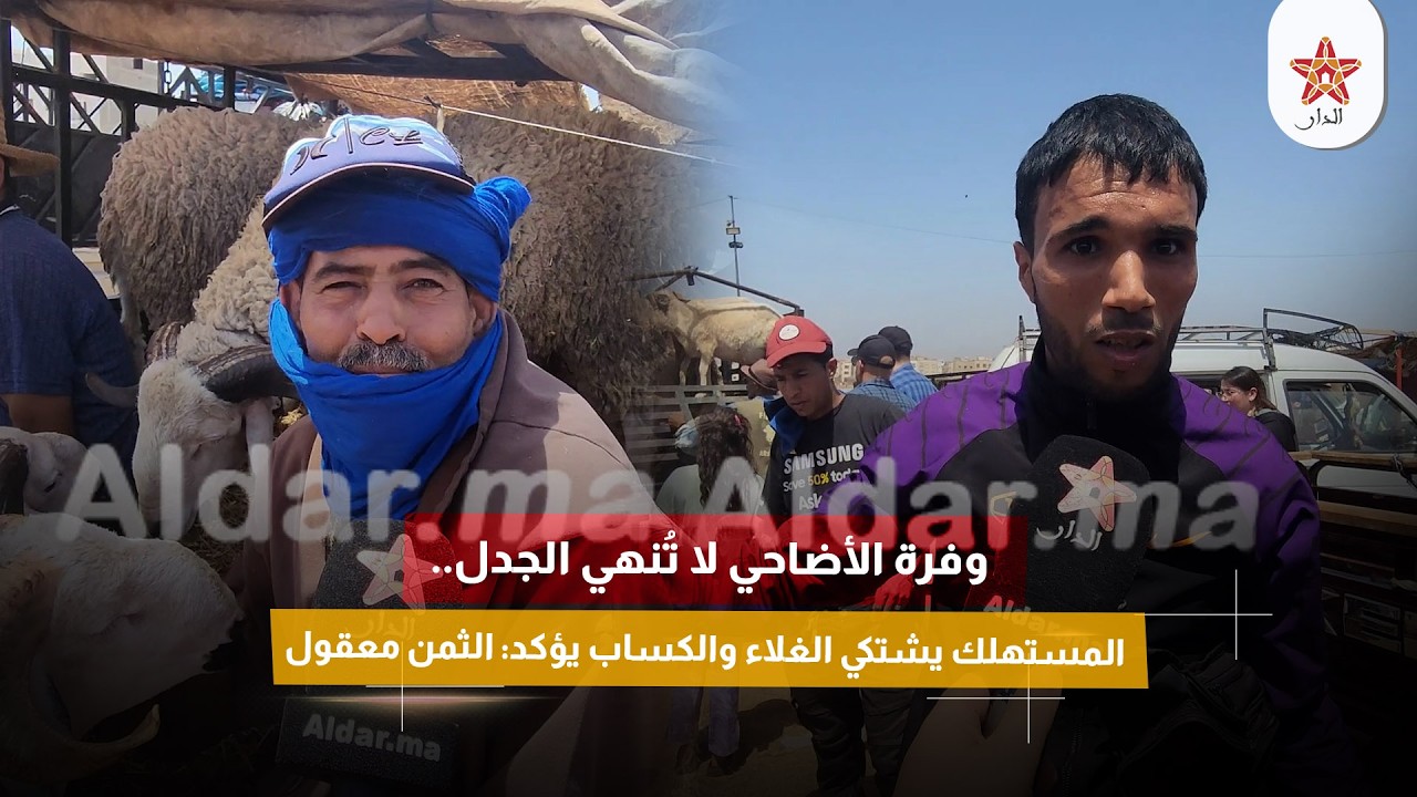 وفرة الأضاحي لا تُنهي الجدل.. المستهلك يشتكي الغلاء والكساب يؤكد: الثمن معقول