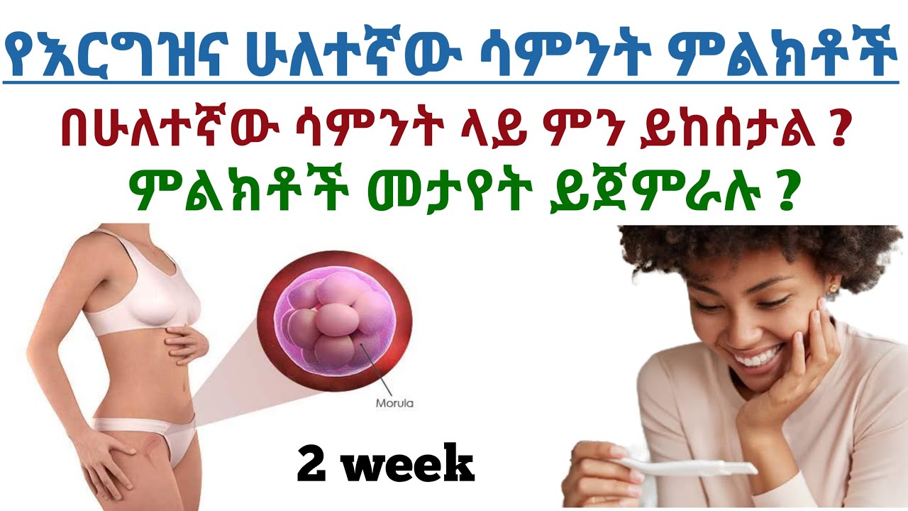 የእርግዝና ሁለተኛው ሳምንት ምልክቶች  | The sign of two week pregnancy
