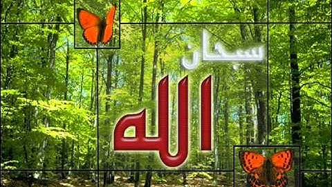 سورة البروج بركات