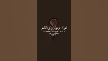 (لقد كان لكم في رسول الله أسوة حسنة)القارئ: علي جابر