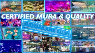 AQUALAND ALLEY CARTIMAR LATEST PRICELIST UPDATE| PHILIPPINES by MPaula S.Y 8,721 views 3 years ago 10 minutes
