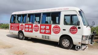 Barossa Explorer, A Hop On Hop Off Bus In South Australias Wine Region