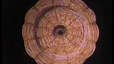 Theosophical Classic 1980 | The Esoteric Nature of...