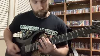 Pig Destroyer - Circle River (guitar cover)