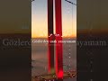 أحبك ولكن لا أحني رقبتي للحب اغاني تركية واتباد