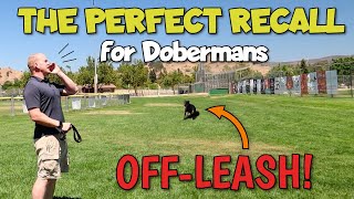 OffLeash Doberman Training: The Recall Command