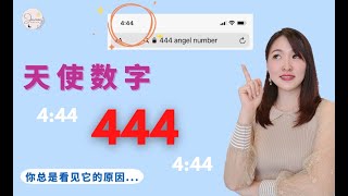 天使数字 444 原来这是你看见它的原因