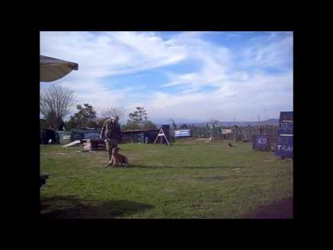 Βίντεο: Θετικές τεχνικές κατάρτισης σκυλιών του Cesar Millan