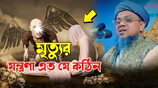 মৃত্যুর যন্ত্রণা | কবরের আজাব | mawlana aminul islam mahmudi | koborer azab | bangla waz | mawamedia