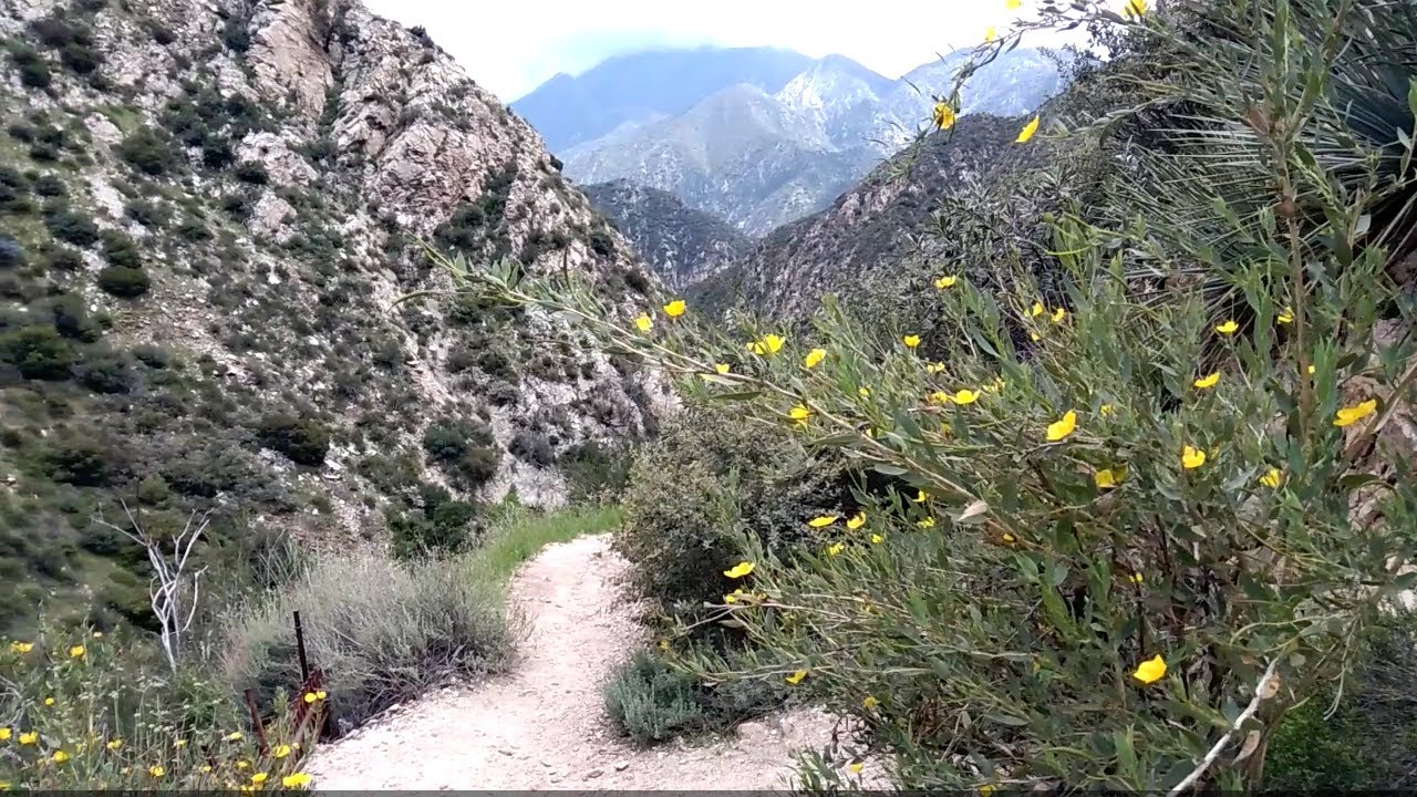 Scenic hike to Trail Canyon Falls in Big Tujunga near Los Angeles YouTube