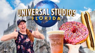 Aussie family Visit Universal Studios Florida (It blows their minds)