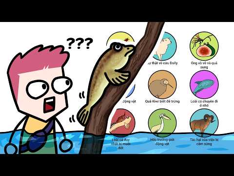 Những fact lmao nhất trong thế giới động vật (Phần 4)