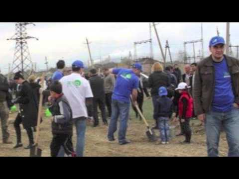 ვინ დააზიანა 3 ათასი ნერგი - ძროხამ, დამრგავმა თუ ნაციონალმა?!