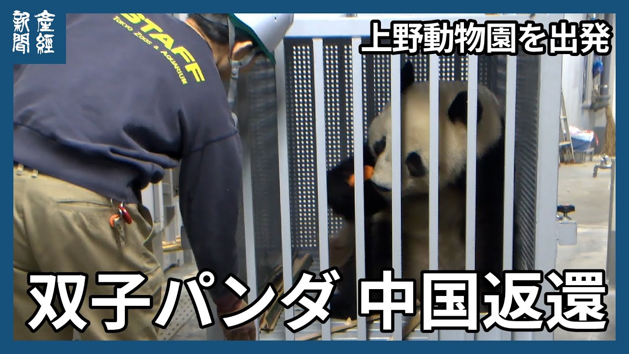 シャオシャオ&レイレイおはなし Amazon.co.jp: ありがとう シャオシャオ レイレイ～上野動物園とパンダ