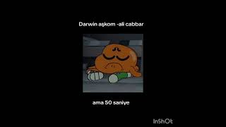 Darwi̇n-Ali̇ Cabbar