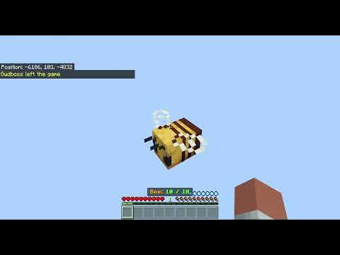 Minecraft||Glitch||Lag||
