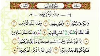 Bacaan Al Quran Merdu Surat At Tin | Murottal Juz Amma Anak Perempuan - Murottal Juz 30 Metode Ummi