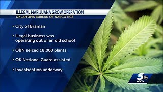 Oklahoma state agents bust illegal marijuana grow operation