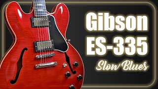 Fender Stratocaster & Gibson ES-335 ★ Slow Blues
