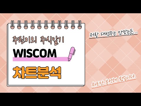 대선주는 좀... _ 주린이의 WISCOM 분석
