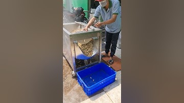 Máy rửa nông sản Tech Garden: Rửa lạc - đậu phộng. Lh 0935911775 Trần Trinh