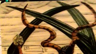 Book Review: The Thoth Companion by Michael Snuffin