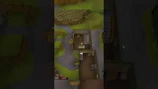 Why Is Leela So Hard to Find? | OSRS Blind Quest