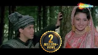 Be Irada Nazar Mil Gayi To | Sanam Bewafa | Salman Khan | Chandni | 90s Hit Hindi Song