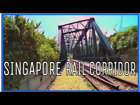 Video: Station With A Green Corridor