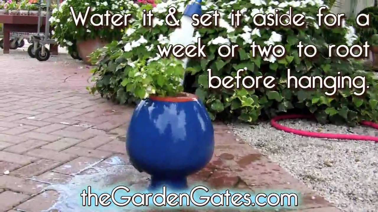 Down Under Pots. Have you seen these? - YouTube