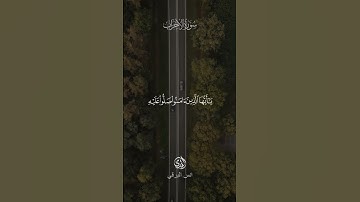 ان الله وملائكته يصلون على النبي  بصوت القارئ انس البرقي