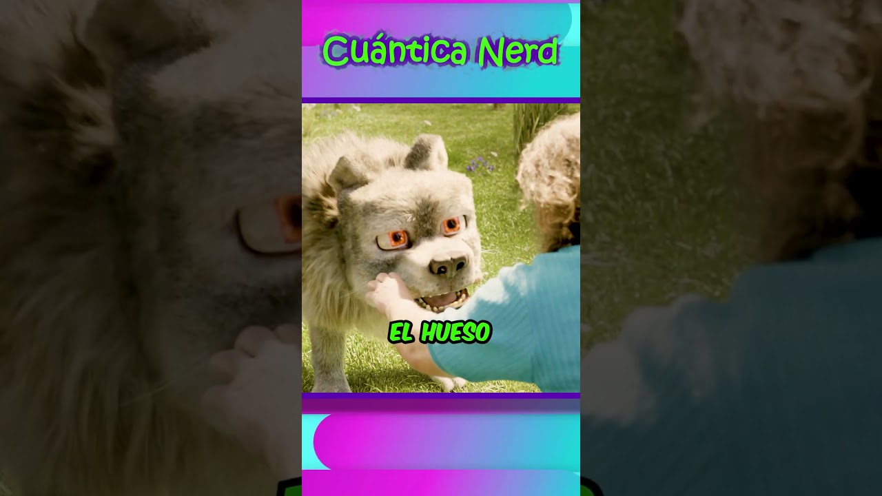 El Lobo Se ComerÍa a Steve en Minecraft