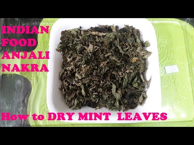 How to dry fresh Mint leaves/Dried Mint powder/leaves पुदिना  पाउडर | indian food and beauty