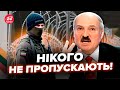 🔥Білоруси У СЛЬОЗАХ біля КОРДОНУ Литви! Екстрена відповідь ЄС МІНСЬКУ