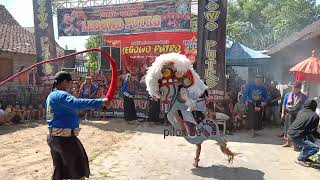 Download Lagu Live jaranan legowo Putro ‼️ Putat baleturi prambon MP3