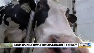 West Michigan dairy farm turns manure into profit