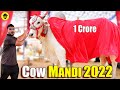 Biggest cow mandi 2022 1 crore  dumb stories