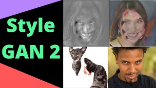 StyleGAN2 explained - AI generated faces, cars and cats!