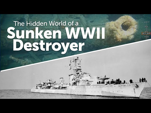 WWII Shipwreck: Deep Dive to a Sunken Canadian Warship - YouTube