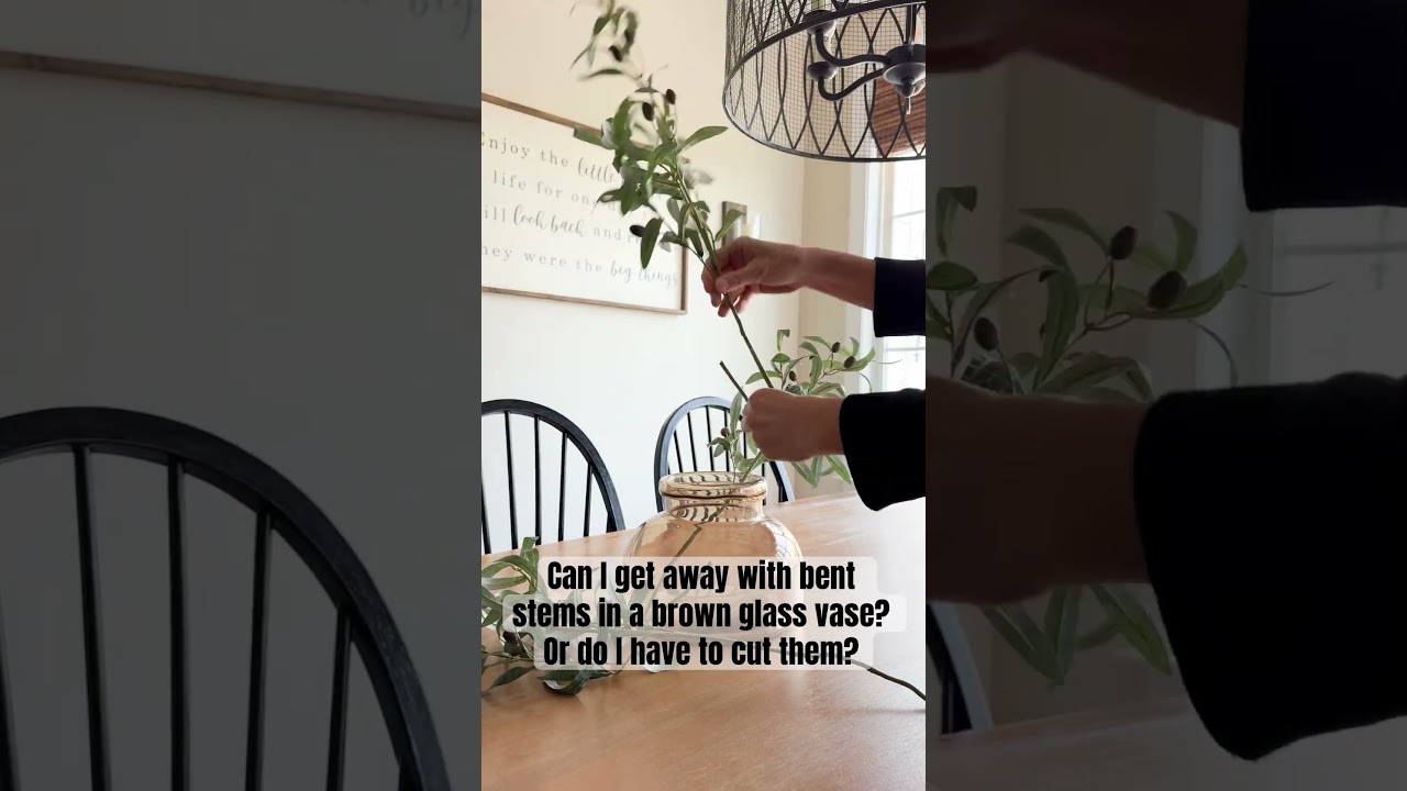 Modern Organic Cozy Spring Decor | Faux Olive Branch Stems | Brown Glass Vase