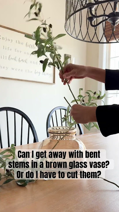 Modern Organic Cozy Spring Decor | Faux Olive Branch Stems | Brown Glass Vase