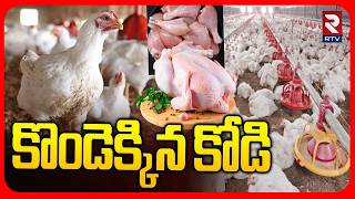 కొండెక్కిన కోడి.. | Chicken Prices Hike | Chicken Price Rise In Hyderabad | Iran Iseal War | RTV