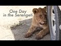 One Day in the Serengeti