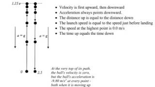 Free Fall (General Physics)