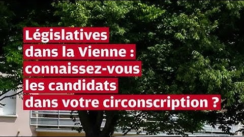 VIDÉO. Législatives dans la Vienne : tout ce qu'il faut savoir sur le premier tour du 30 juin