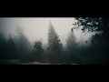 Wild like the wind recap