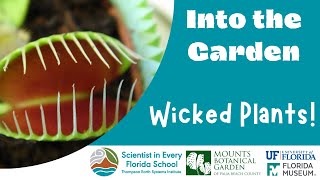 Into the Garden: Wicked Plants