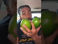 DID ANYBODY LOSE TWO AVOCADOS ANYONE DID ANYBODY LOSE TWO AVOCADOS ANYONE