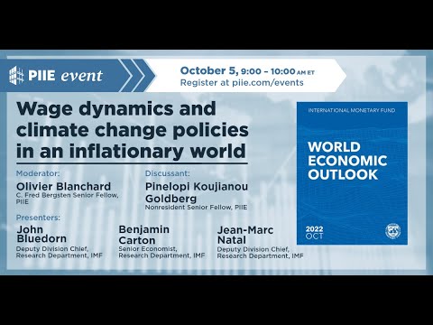 Global economic conditions and what they mean for inflation and climate policy