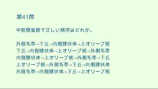 第10回　言語聴覚士 国家試験　問題1~50